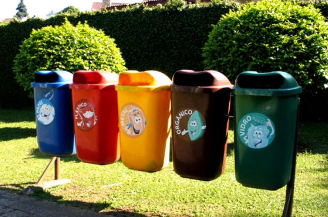 Waste sorting training